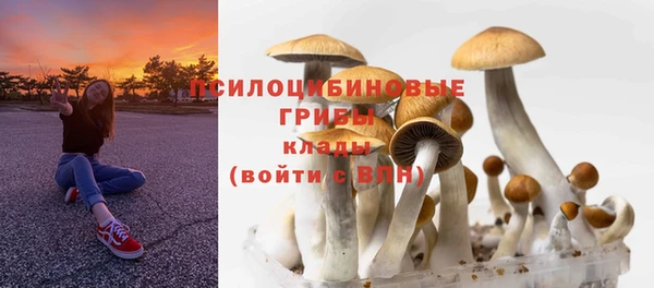амфетамин Новодвинск