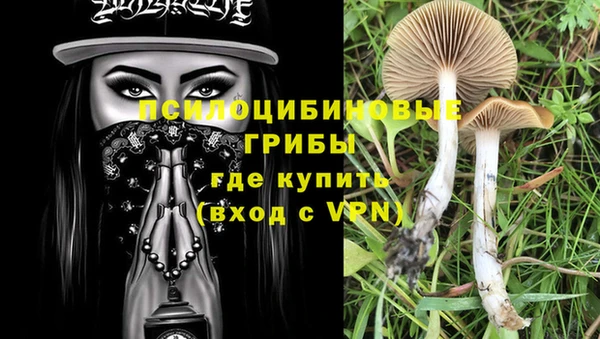 не бодяженный Новозыбков