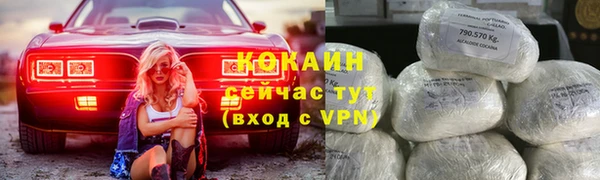 трава Новокубанск