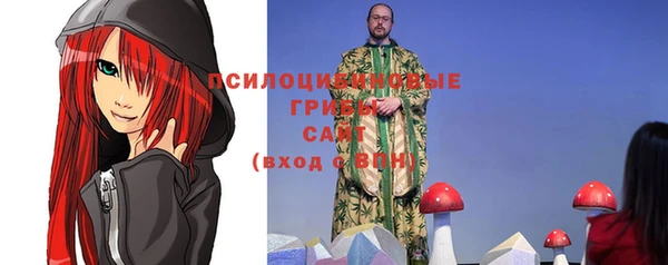 не бодяженный Новозыбков
