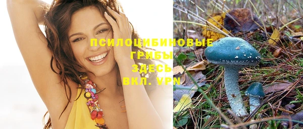 не бодяженный Новозыбков