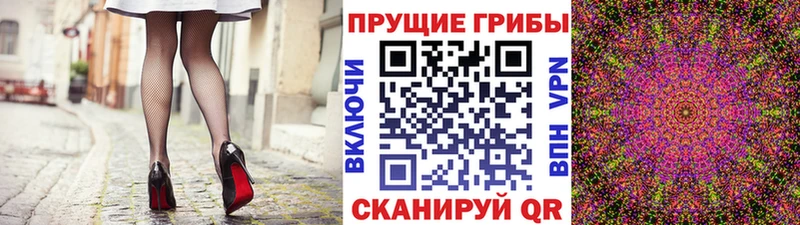 Купить где  Сочи  Галлюциногенные грибы MAGIC MUSHROOMS